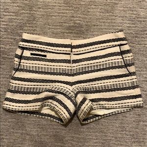 Ann Taylor Loft tweed shorts